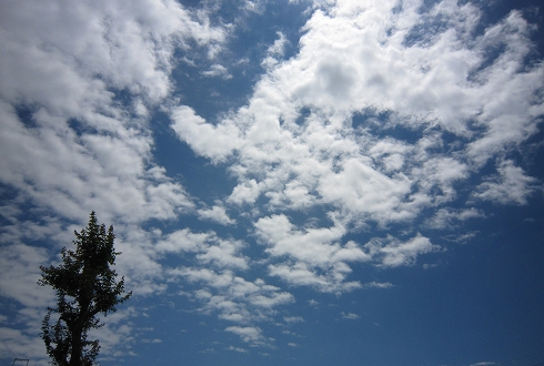 c0160488_181131100.jpg