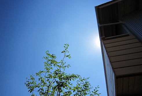 c0160488_18174251.jpg