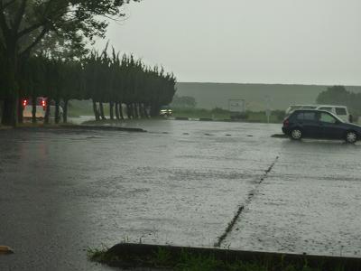 c0123890_20301775.jpg