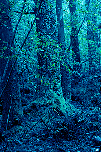 f0132391_22311936.jpg