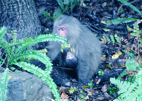 f0132391_2232742.jpg