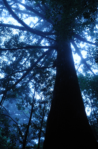 f0132391_22363675.jpg