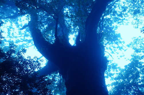 f0132391_223657.jpg