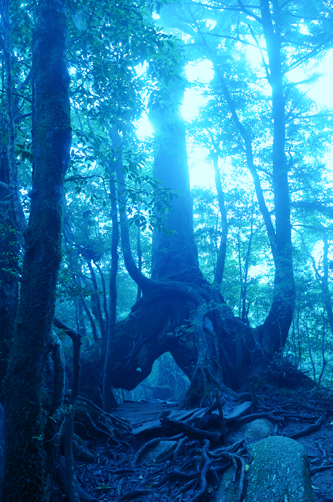 f0132391_22365987.jpg