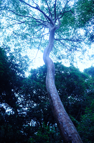 f0132391_22372464.jpg