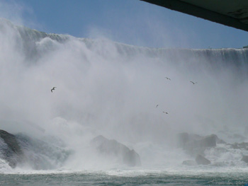 f0199394_23335916.jpg