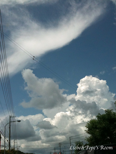 f0001895_19445174.jpg