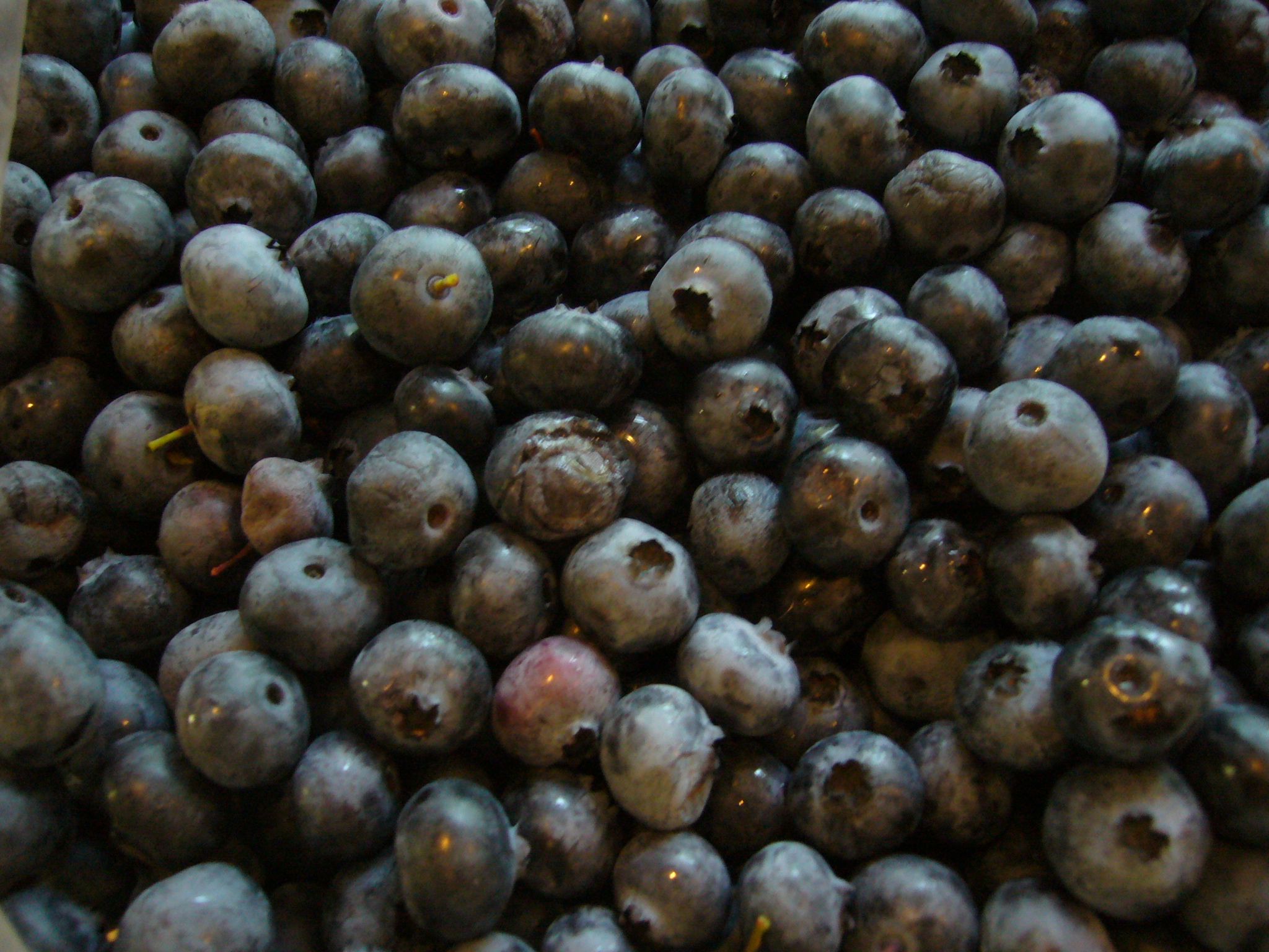 f0169397_372099.jpg