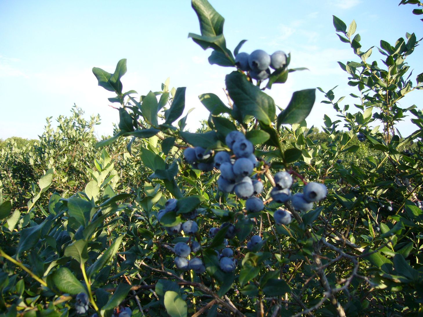 f0169397_39174.jpg