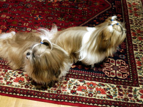 c0090198_6372978.jpg