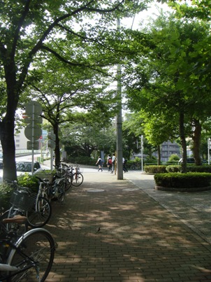 a0167803_2214141.jpg