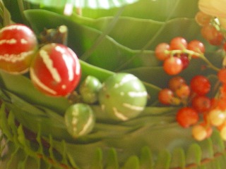 d0165505_2125149.jpg