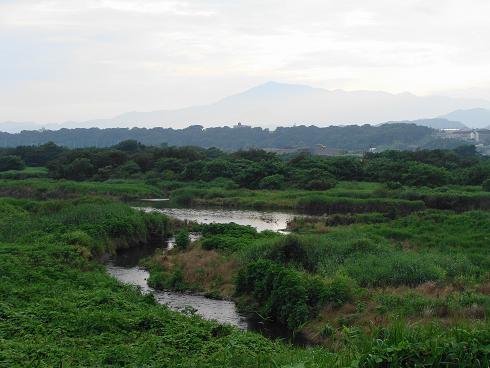 e0123808_0135217.jpg