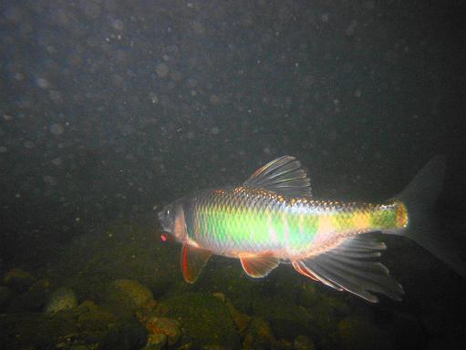 e0123808_0184366.jpg
