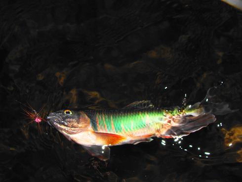 e0123808_0191185.jpg