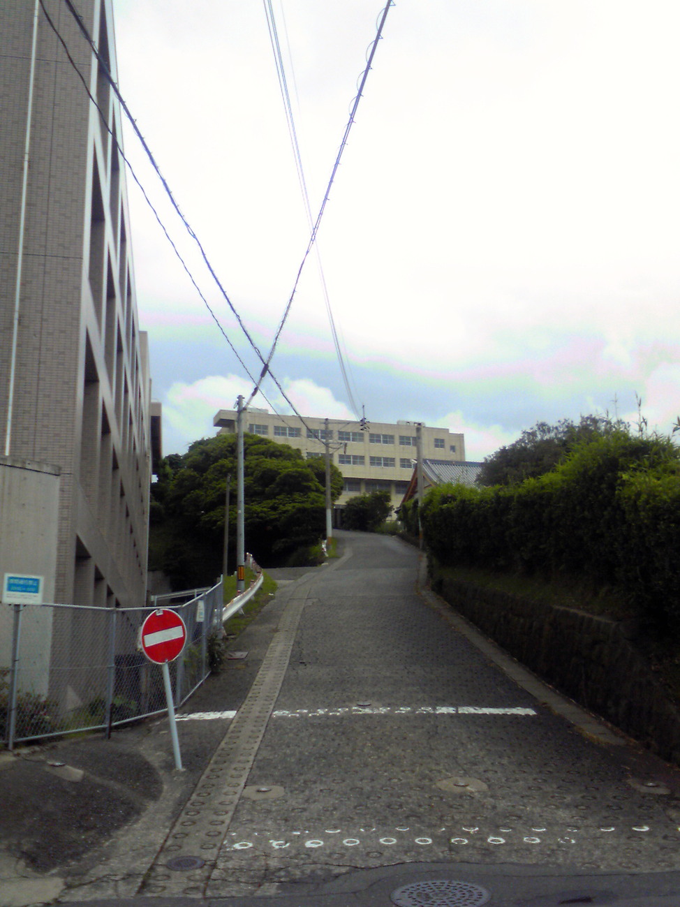 f0054610_10522444.jpg