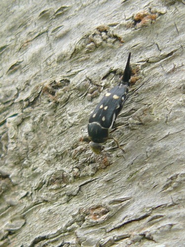 c0062511_22251885.jpg