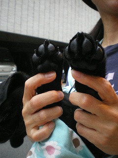 c0188613_16413631.jpg