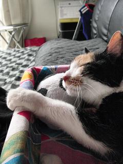 c0201113_2138176.jpg