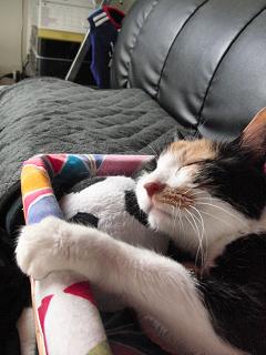 c0201113_21382985.jpg