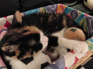 c0201113_21422155.jpg