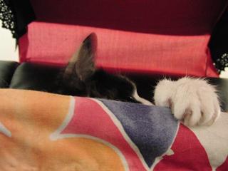 c0201113_2142360.jpg