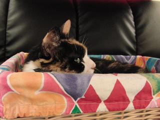 c0201113_21432844.jpg