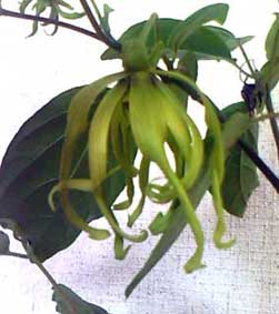 f0023713_1144232.jpg