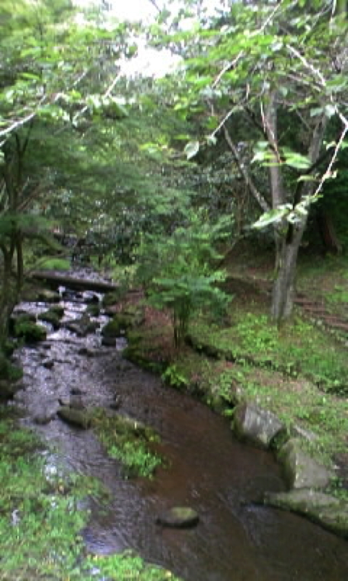 c0219815_22214124.jpg