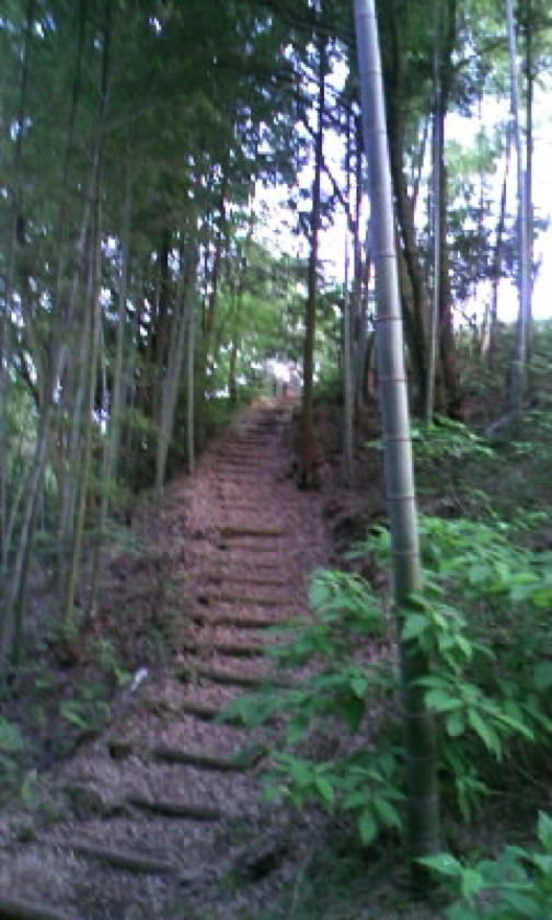 c0219815_22241795.jpg