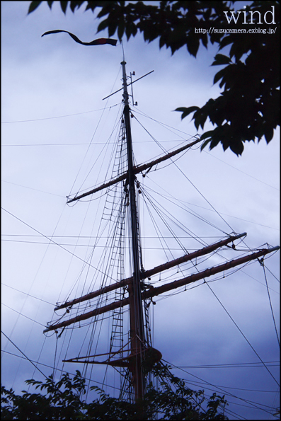 f0100215_06209.jpg