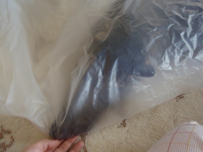 c0145016_9421470.jpg
