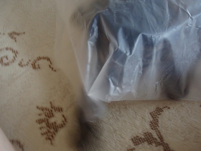 c0145016_9423374.jpg