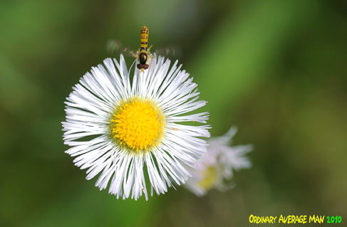 f0049218_2016331.jpg