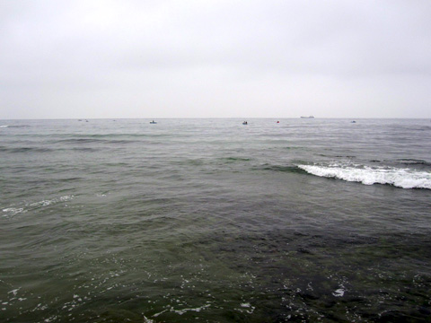 b0186119_18593563.jpg