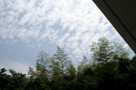 c0166720_14242725.jpg