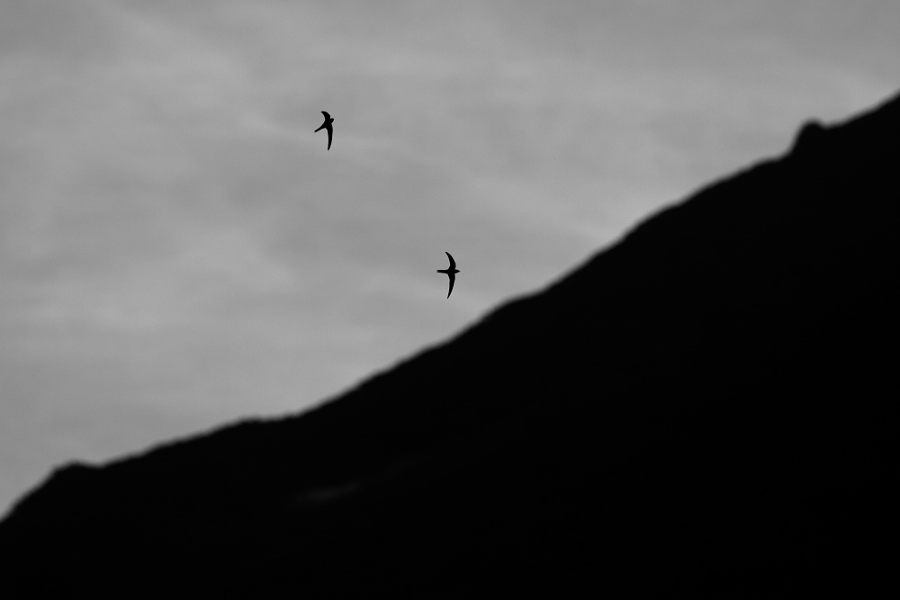c0140721_20494468.jpg