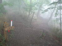f0177521_22443325.jpg