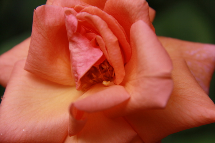 b0165522_22584926.jpg