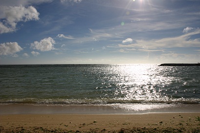 c0157226_2312049.jpg