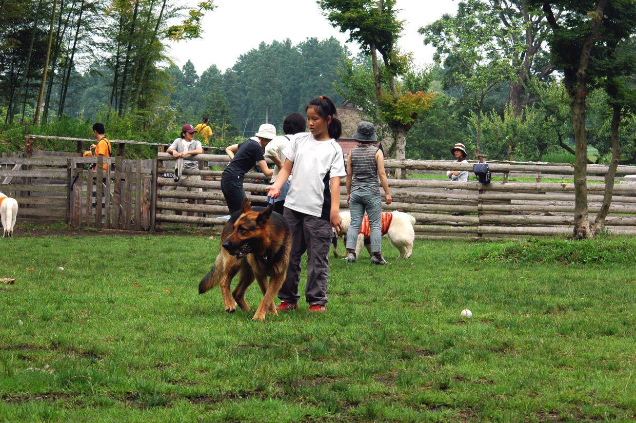 c0192930_1720304.jpg