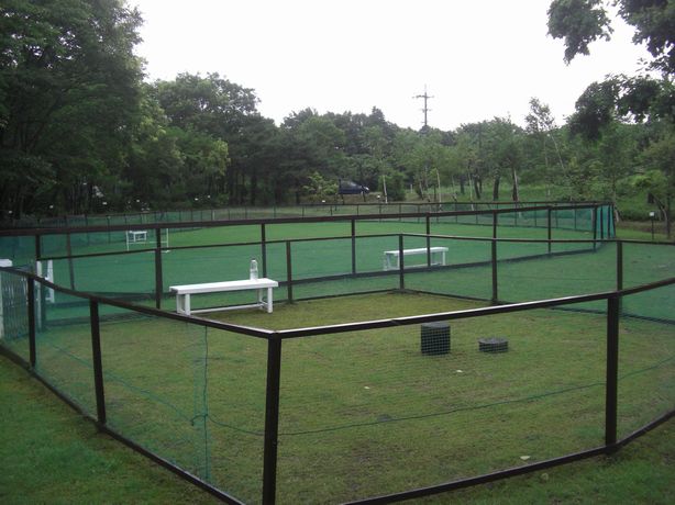 e0142430_0563842.jpg