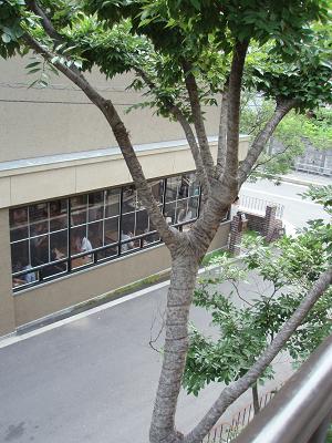 b0178631_18104437.jpg