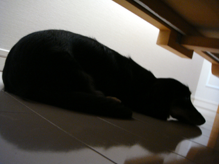 c0117831_2014031.jpg