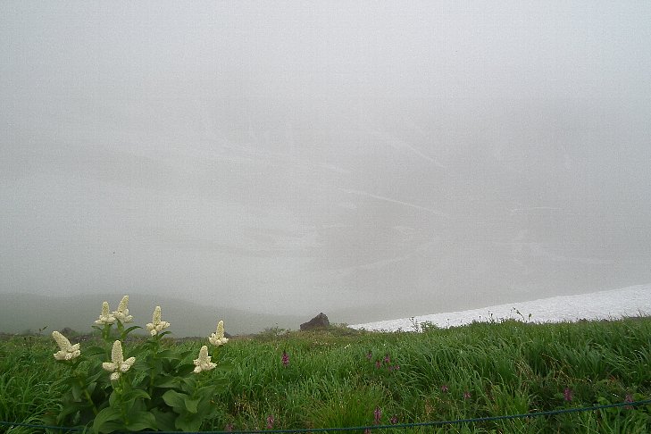 f0118332_23425849.jpg