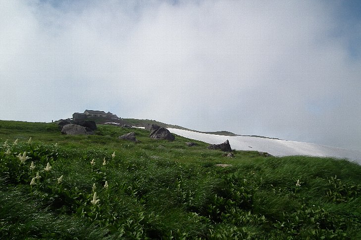 f0118332_23485787.jpg