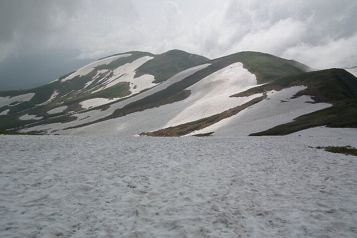 f0118332_2359855.jpg