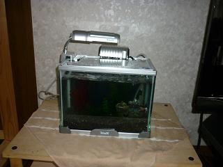 f0202633_1203848.jpg