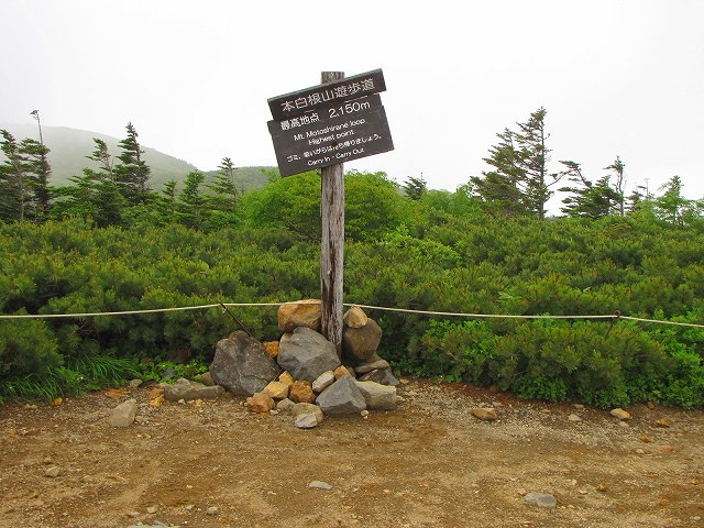 b0097836_11494229.jpg