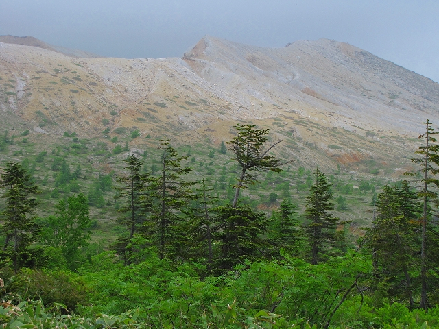 b0097836_11594149.jpg